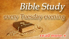 Bible Study